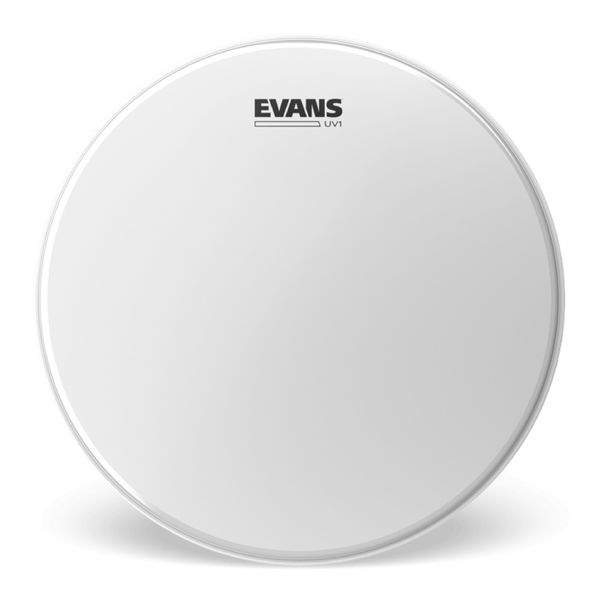 Evans 12